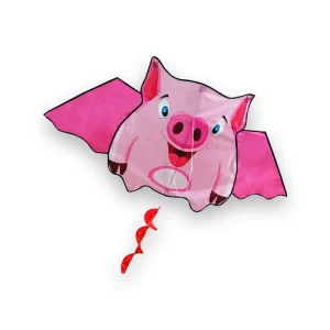 Cerf volant chinois pour enfant