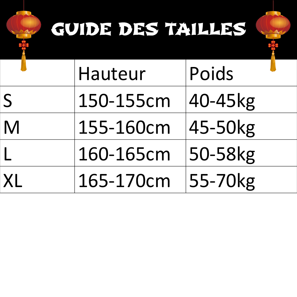 Hanfu Costume Traditionnel – Image 5