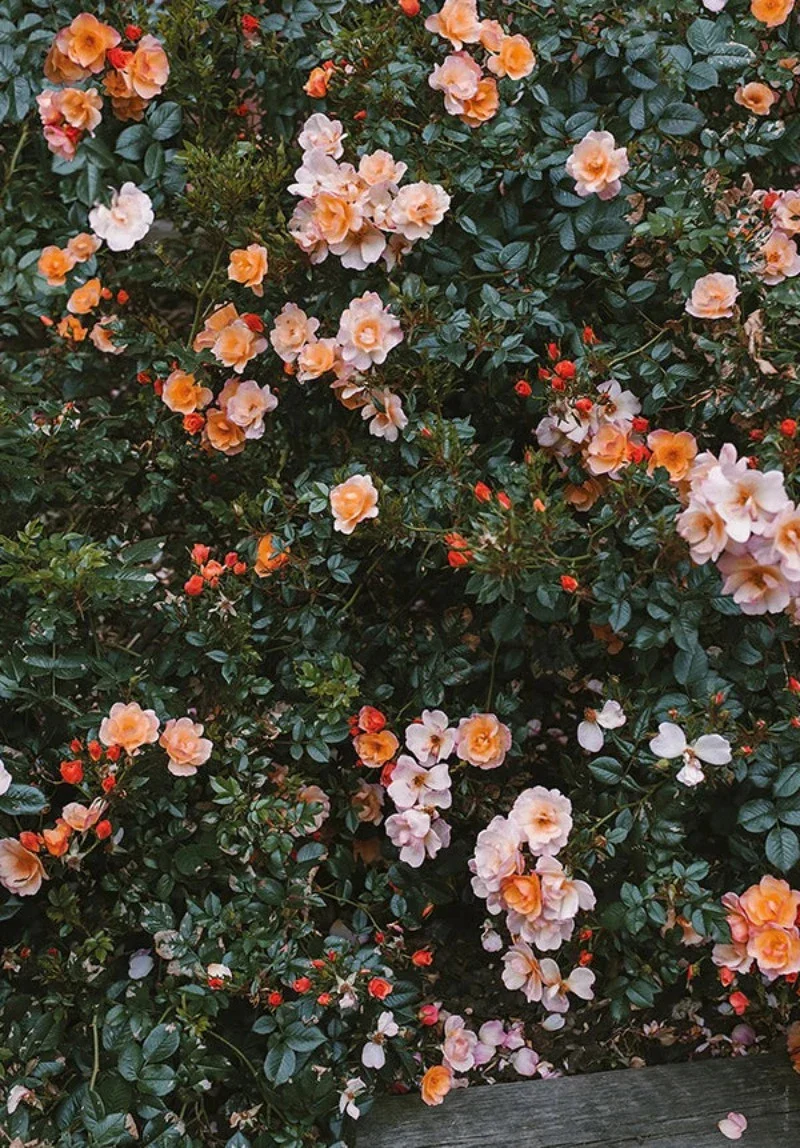 Tableau Chinois Fleur Nature – Image 3