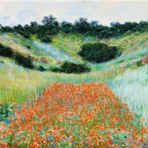 Tableau Chinois Champ De Coquelicots