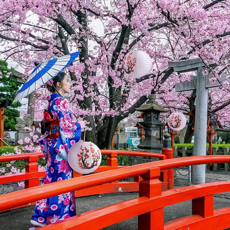 Lanterne Chinoise Papier Fleurs Cerisier – Image 5