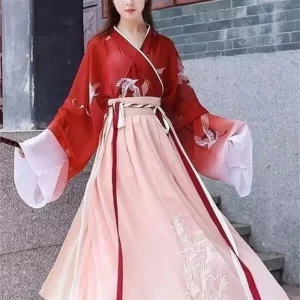 Hanfu Robe