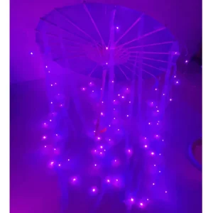 Ombrelle Chinoise Violet DEL Soie