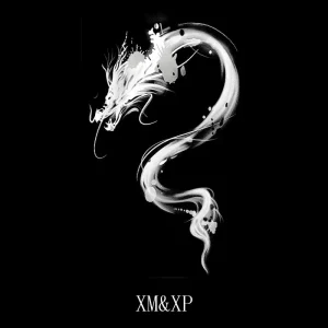 Tatouage Dragon Chinois Art Punk