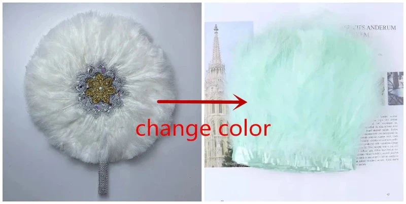 Éventail Chinois Plumes De Dinde – Image 5