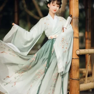 Robe Chinoise Costume Traditionnel Hanfu