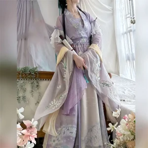 Hanfu Broderie Féerique Dynastie Song