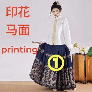 Hanfu Robe d'Hiver Dynastie Ming