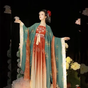 Robe Chinoise Tang Dynasty Cosplay