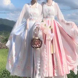 Hanfu Robe Princesse Dynastie Wei Jin