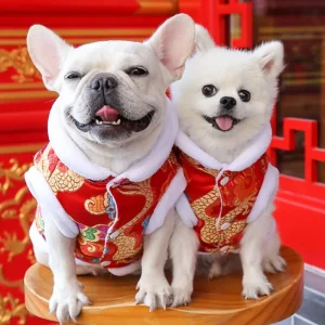 Déguisement Chinois Chien