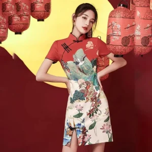 Tenue Chinoise Robe Cheongsam