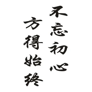 Tatouage Chinois Colonne Vertébrale