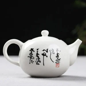 Théière Chinoise En Porcelaine avec Filtre