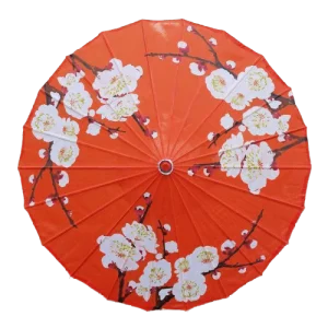 Ombrelle Chinoise Bourgeons