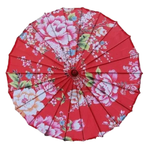 Ombrelle Chinoise Typique