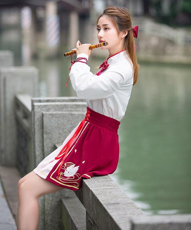 Hanfu Jupe – Image 5