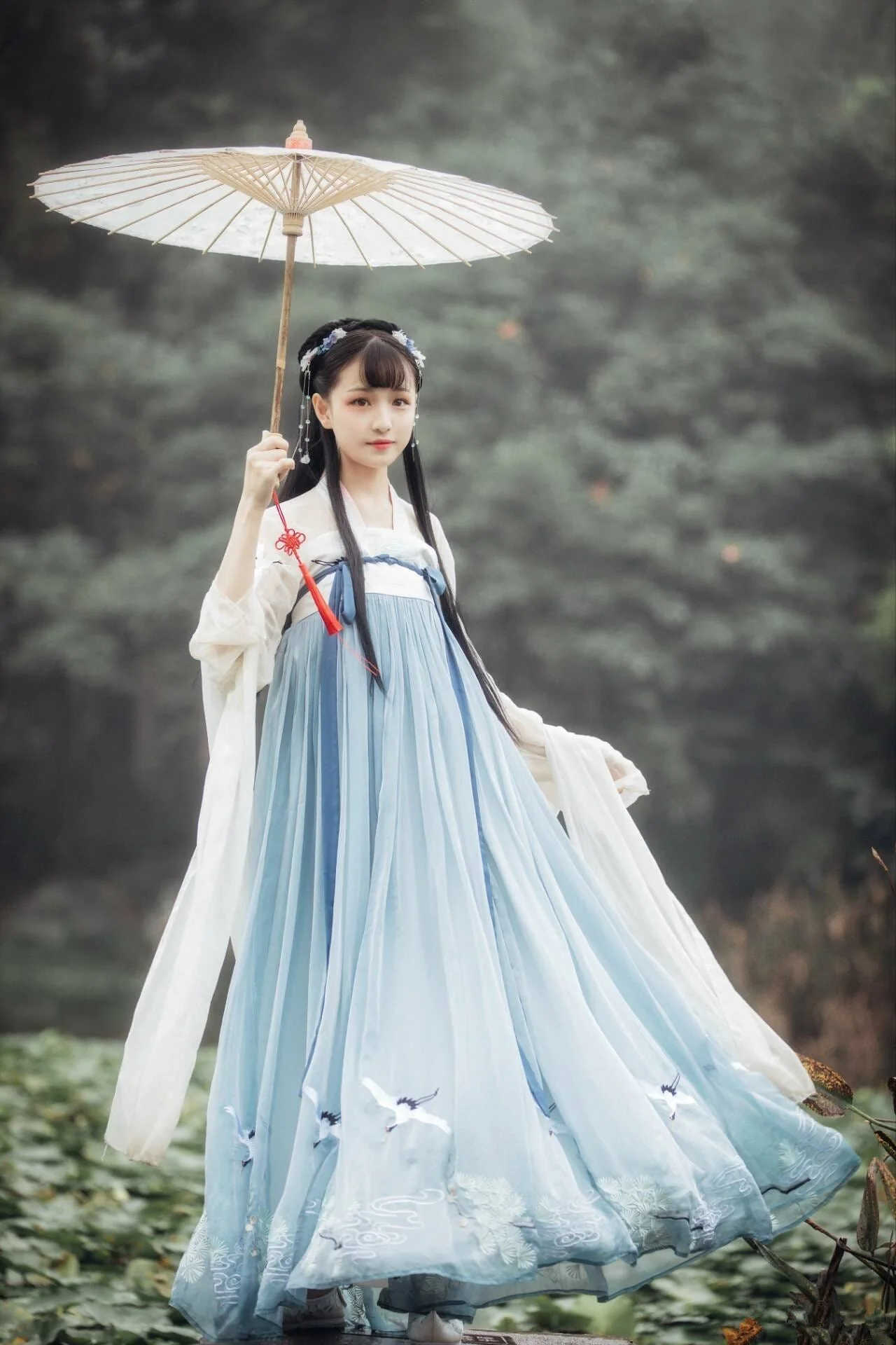 Hanfu Folklorique – Image 3