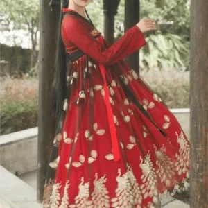 Hanfu Dynastie Tang