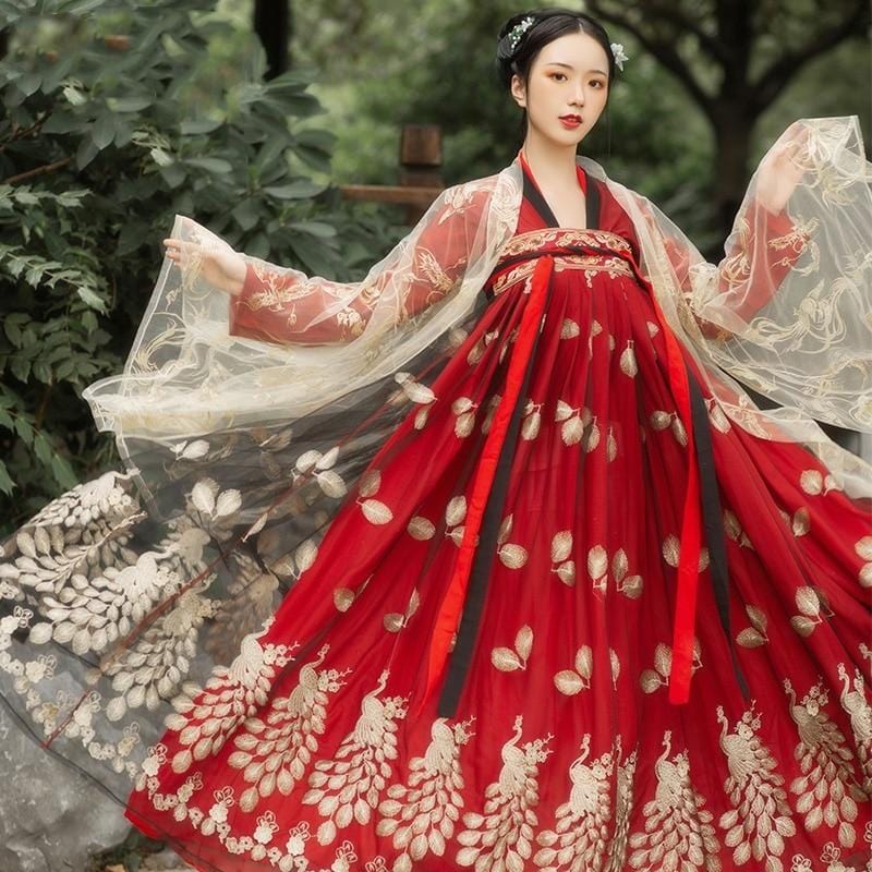 Hanfu Dynastie Tang – Image 4