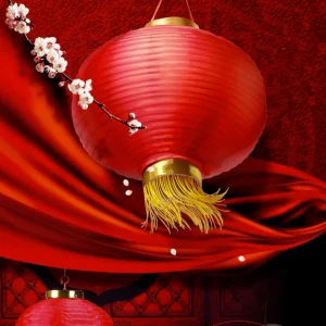 Lanterne Chinoise Papier de Soie