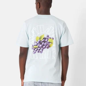 FRUIT summer s/s t-shirt