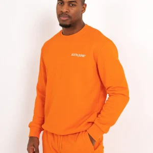 BASIC logo sweatshirt